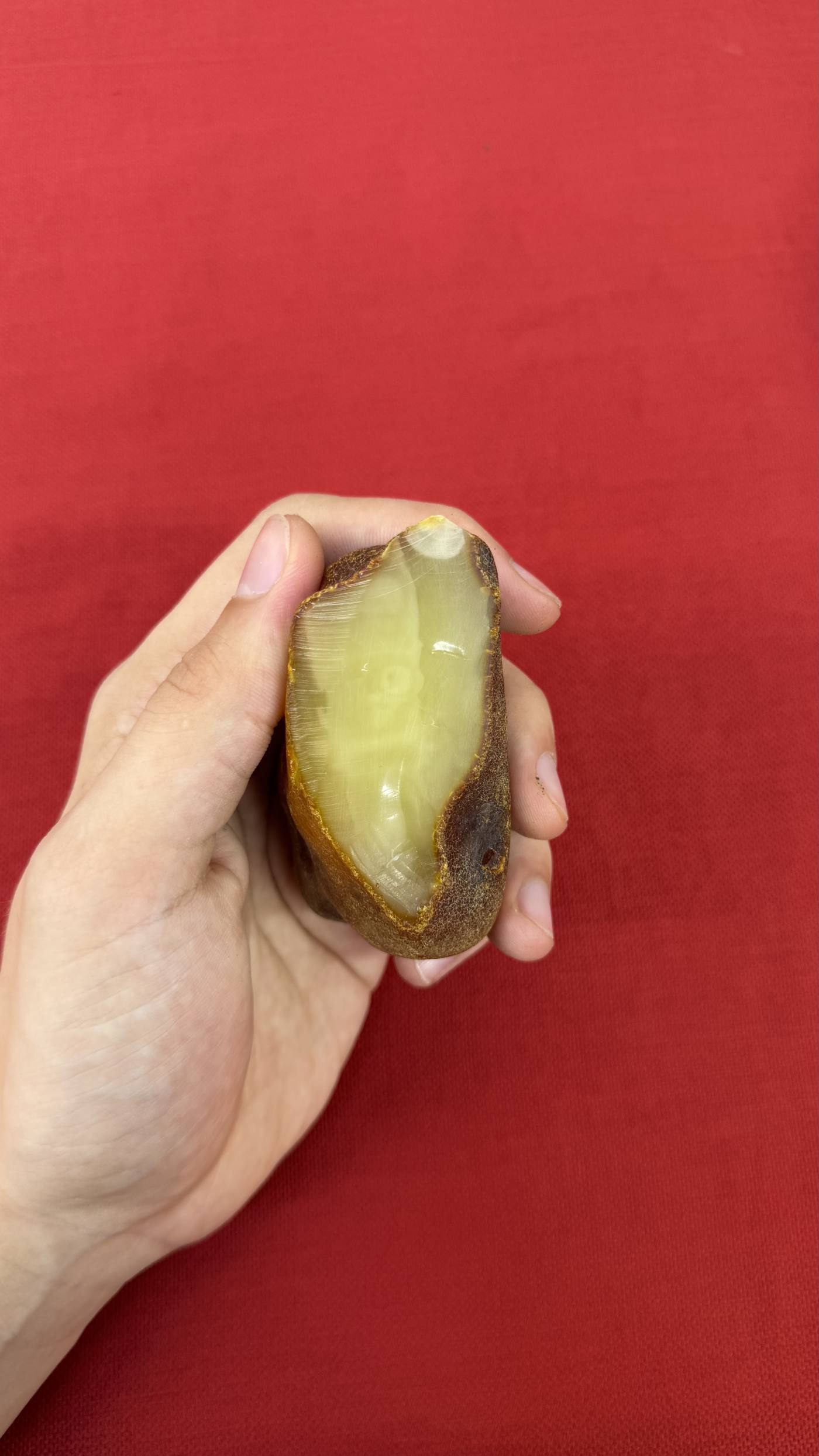 Özel desenlere sahip doğal kehribar taşı.